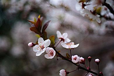 《生化危机9》首批细节和新截图 可自由切换第一＆第三人称、新的追踪者